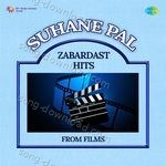 Suhane Pal - Zabardast Hits From Film - Anwar Hussain Song Download